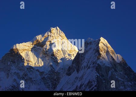 Blick vom Dingboche auf Ama Dablam im Abendlicht, Nepal, Himalaya, Khumbu Himal Stockfoto