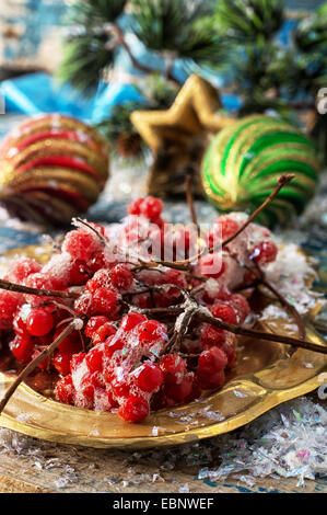 Kalina gold Tablett und Weihnachtsschmuck Stockfoto