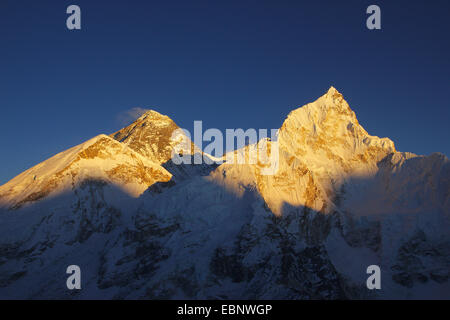 Mount Everest vorne links West Schulter) und Nuptse im Abendlicht. Aussicht vom Kala Patthar, Nepal, Himalaya, Khumbu Himal Stockfoto