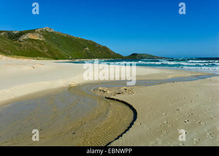 Walpole Landschaften, Strände, Wald, Landwirtschaft, Flora & Fauna, Bäume in Blüte, South Western Australia Stockfoto