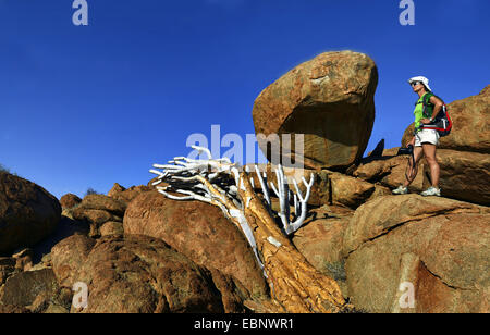 Wanderer an einem Felsen und Kokerboom Baum in der Nähe von Bloedkoppe Berg, Namibia, Namib Naukluft Nationalpark Stockfoto