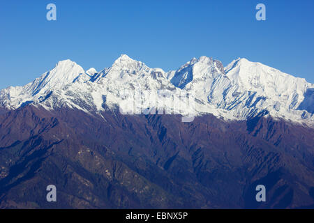 Ganesh Himal Mit Ganesh IV (Pabil), Ganesh III (Salasungo), Ganesh V und Ganesh sehe ich (Yangra) im Morgenlicht von Laurebina Yak im Langtang Himal, Nepal Langtang Himal Stockfoto