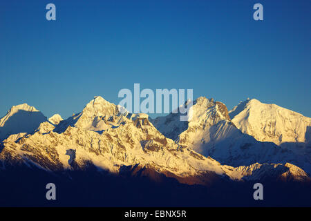 Ganesh Himal Mit Ganesh IV (Pabil), Ganesh III (Salasungo), Ganesh V und Ganesh sehe ich (Yangra) im Morgenlicht von Laurebina Yak im Langtang Himal, Nepal Langtang Himal Stockfoto