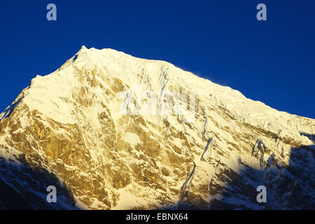 Langtang Lirung bei Sonnenaufgang, Blick vom Aufstieg zum Kyanjin Ri, Nepal Langtang Himal Stockfoto