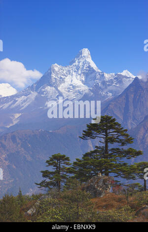 Ama Dablam, Ansicht von unten das Everest-View-Hotel in der Nähe von Namche, Nepal, Khumbu Himal Stockfoto