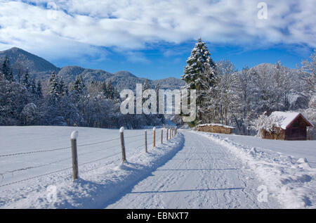 Pfad in der verschneiten Landschaft, Deutschland, Bayern, Oberbayern, Oberbayern, Unterammergau Stockfoto