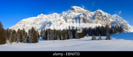 Blick zum Säntis im Winter, der höchste Berg im Alpstein-massiv, der Schweiz, Appenzell Stockfoto