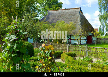 altes Bauernhaus mit ländlichen Garten im Freilichtmuseum Klockenhagen, Deutschland, Mecklenburg-Vorpommern, Klockenhagen Stockfoto