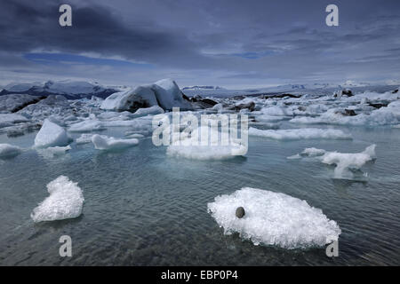 steigende Föhns über Joekulsarlon Gletscherlagune, Island Stockfoto