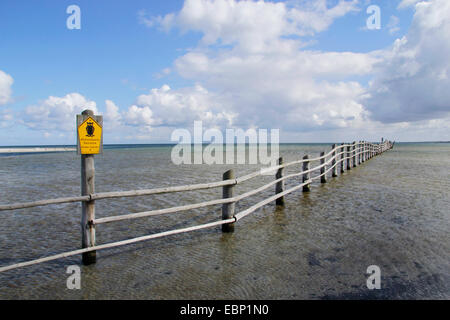 eingesperrt, Nationalpark Vorpommersche Boddenlandschaft, Deutschland, Mecklenburg-Vorpommern, Western Region Nationalpark Vorpommersche, Prerow Stockfoto