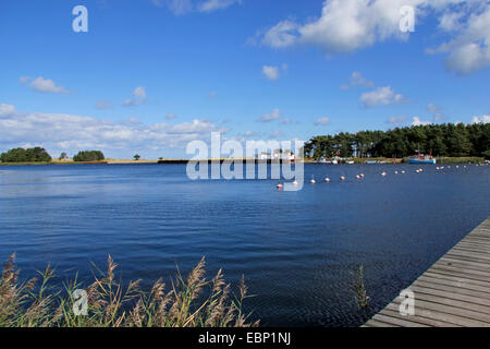 Hafen von Prerow Darß, Deutschland, Mecklenburg-Vorpommern, Stockfoto