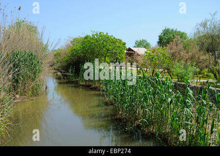 Wasserlauf entlang der Parc natural de s Albufera de Mallorca Infocenter, Spanien, Balearen, Mallorca, National Park Albufera Stockfoto