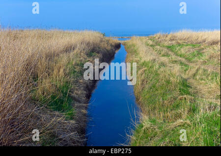 Entwässerungsgraben inmitten der Dünen, Cuxhaven, Sahlenburg, Niedersachsen, Deutschland Stockfoto