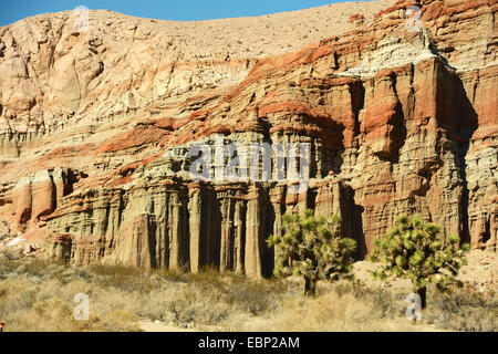 Felsformation im Red Rock Canyon, USA, Kalifornien, Red Rock Canyon Conservation Area Stockfoto