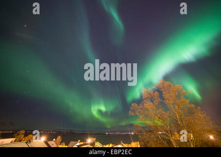 Aurora mit Orion und Jupiter, Norwegen, Troms, Tromsoe Stockfoto