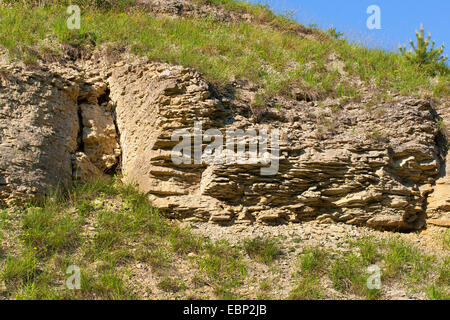 Wiese auf Muschelkalk, Deutschland, Thüringen, Naturschutzgebiet Jonastal Stockfoto