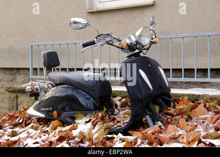 Motorroller im Herbstlaub, Deutschland, Nordrhein-Westfalen Stockfoto