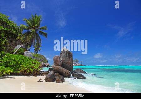 Granitfelsen am Strand Anse Forbans, Seychellen, Mahe Stockfoto