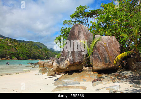 Granitfelsen am Strand Anse L'Islette, Seychellen, Mahe Stockfoto