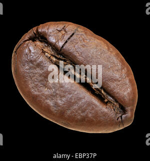 Makroaufnahme einer einzigen geröstete Kaffeebohne Stockfoto