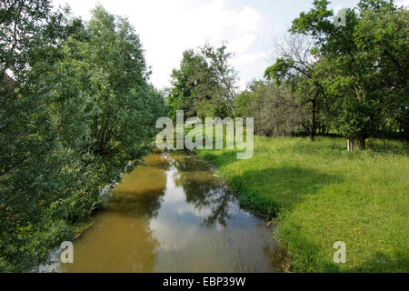 Fuchsgraben Entwässerungsrinne, Altlewin, Neutrebbin, Brandenburg, Deutschland Stockfoto