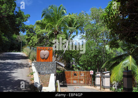 Coco de Mer, Double Coconut (Lodoicea Maldivica), Hotel Coco de Mer an der südlichen Westküste, Seychellen, Praslin Stockfoto