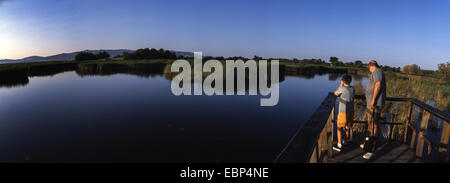 Stege über Lagunen. Las Tablas de Daimiel Nationalpark. Ciudad Real. Spanien. Stockfoto