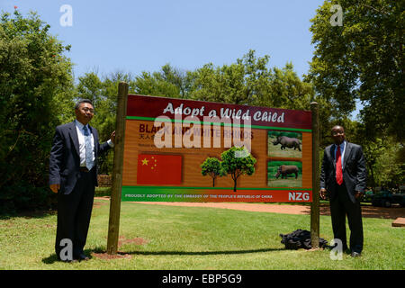 Pretoria, Südafrika. 3. Dezember 2014. Yang Yirui (L), der chinesischen Botschaft Geschäftsträger und nationalen zoologischen Gärten (NZG) Managing Director Clifford Nxomani teilnehmen feierlichen Verabschiedung am NZG, in Pretoria, Südafrika, am 3. Dezember 2014. Die chinesische Botschaft nahm fünf Nashörner am Mittwoch in NZG of South Africa in Pretoria, die vom Aussterben bedrohten Wildtiere zu schützen. © Zhai Jianlan/Xinhua/Alamy Live-Nachrichten Stockfoto