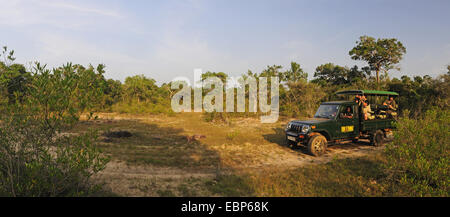 Safari-Jeep mit Wildlife-Fotografen in Wildnis, Sri Lanka, Wilpattu Nationalpark Stockfoto