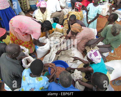Lager für Vertriebene in Nord-Uganda um Gulu, nicht-Regierungs-Organisation "Norwegian Refugee Council" vertreibt Essensrationen für das UN World Food Programme für Senioren und Hancicapped Menschen, Taschen mit Mais, Gulu, Uganda, Gulu Stockfoto