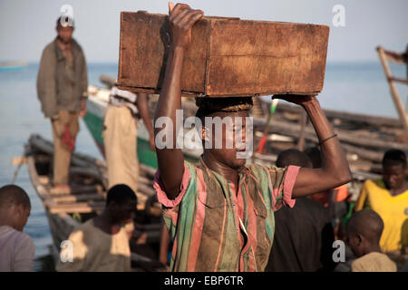 Junge mit Holzbox mit vor kurzem gefangen Fisch auf dem Kopf von einem Boot zum Ufer von wo es in die Hauptstadt, Burundi, Nyanza Lac, Mvugo, Nyanza Lac gebracht wird Stockfoto