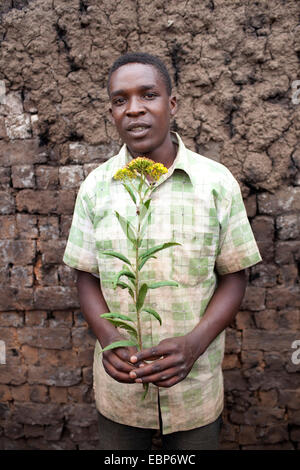 Mann mit gelber Blume Stand vor einer Wand, Burundi, Karuzi, Buhiga Stockfoto