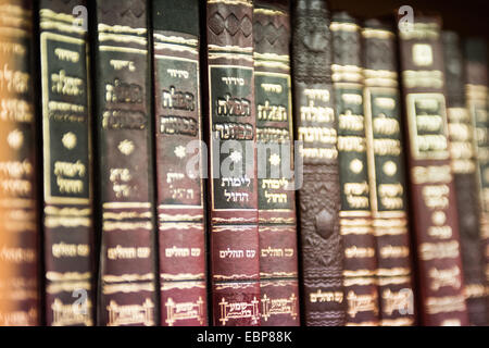 London, UK. 3. Dezember 2014. Bücher sind auf dem Display, wie Herr Stephen Williams MP, Parliamentary Under Secretary Of State für Kommunen und Kommunalverwaltungen, Talmud-Thora Yetev-Lev orthodoxe jüdische Schule in Hackney, London Credit Besuche: Piero Cruciatti/Alamy Live News Stockfoto