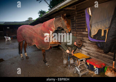 Hufschmied, Mike Moss, Godshill, Isle Of Wight, England, UK, Stockfoto