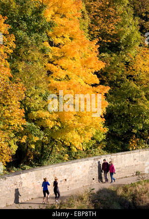 Durham County Durham, England. Jogger und Spaziergänger auf Fußweg neben der Fluss Wear, Herbst. Stockfoto