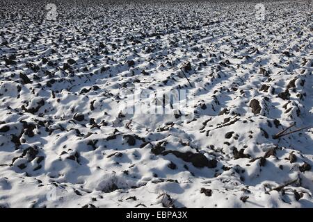 Schneebedecktes Feld Stockfoto