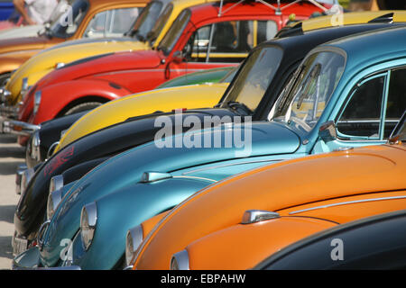 Diverse VW-Käfer in der 16. Sitzung der Volkswagen in Agde, Frankreich. Stockfoto