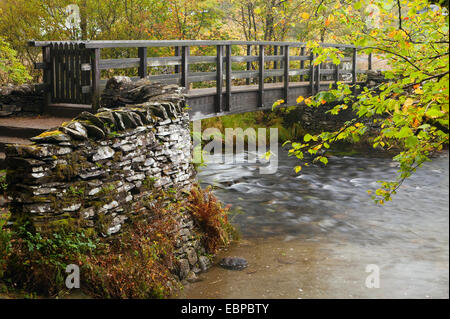 Hölzerne Fußgängerbrücke über den Fluß Brathay in kleinen Langdale Stockfoto