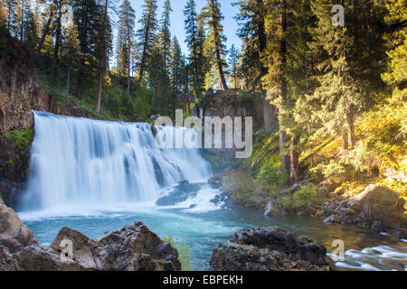 Mittleren McCloud fällt auf die McCloud River in Nord-Kalifornien in den frühen Morgenstunden. Stockfoto