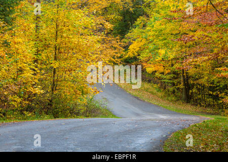 Straße, biegen aber Herbstfarben in Wäldern in Chestnut Ridge Park im Bundesstaat New York Stockfoto