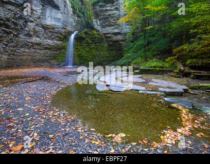 Adlerfelsen verliebt sich in Havanna Glen Park in der Region der Finger Lakes in der Stadt von Montour fällt New York Stockfoto