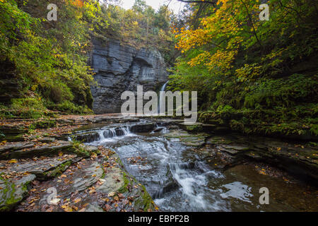 Adlerfelsen verliebt sich in Havanna Glen Park in der Region der Finger Lakes in der Stadt von Montour fällt New York Stockfoto