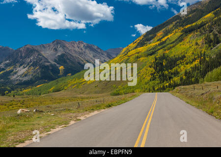 Herbstfarben entlang Burg Creek Road in White River National Forest in der Nähe von Aspen Colorado Stockfoto