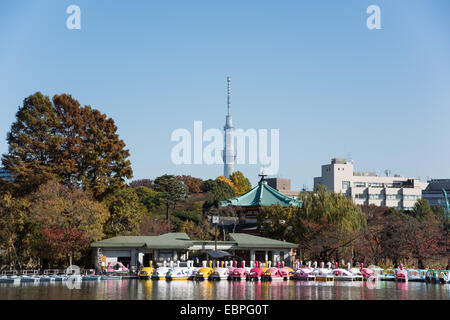 Shinobazunoike, Ueno-Park, Taito-Ku, Tokyo, Japan Stockfoto