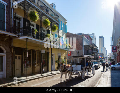 Pferd und Kutsche fahren auf Chartres Street im French Quarter mit Downtown in Ferne, New Orleans, Louisiana, USA Stockfoto