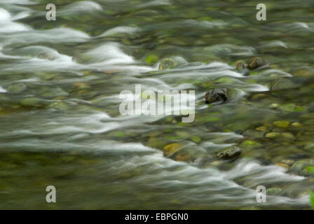 Middle Fork Smith River an den Gabelungen Smith River National Recreation Area, Kalifornien Stockfoto