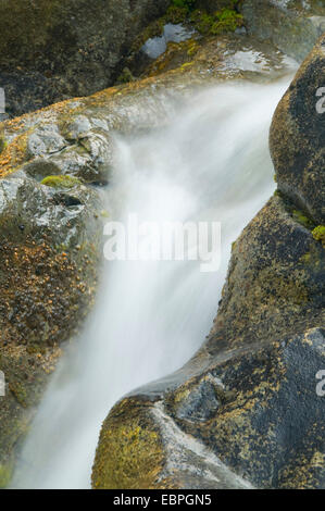 Stony Creek am Zusammenfluss mit North Fork Smith River, Smith River National Recreation Area, Kalifornien Stockfoto