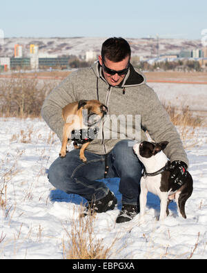 Mann mit seinen älteren Boston Terrier und Bugg (Kreuzung zwischen Boston Terrier und Pug) Hunden im Stadtpark Stockfoto