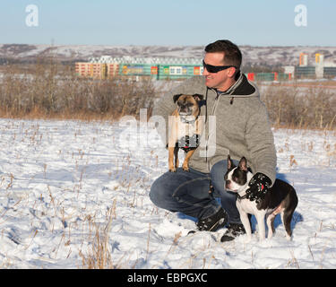 Mann mit seinen Hunden, einem Boston Terrier und einem Bugg (Kreuzung Boston Terrier und Pug), die Natur im Stadtpark genießen Stockfoto