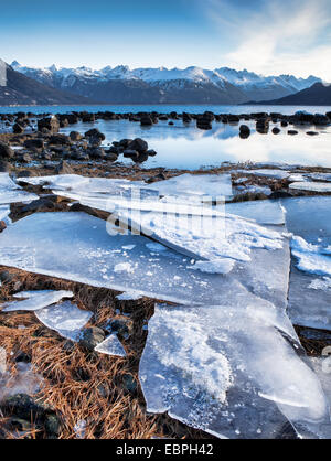 Eisschollen angeschwemmt in der Nähe von Portage Cove in Haines, Alaska, an einem sonnigen Wintertag. Stockfoto